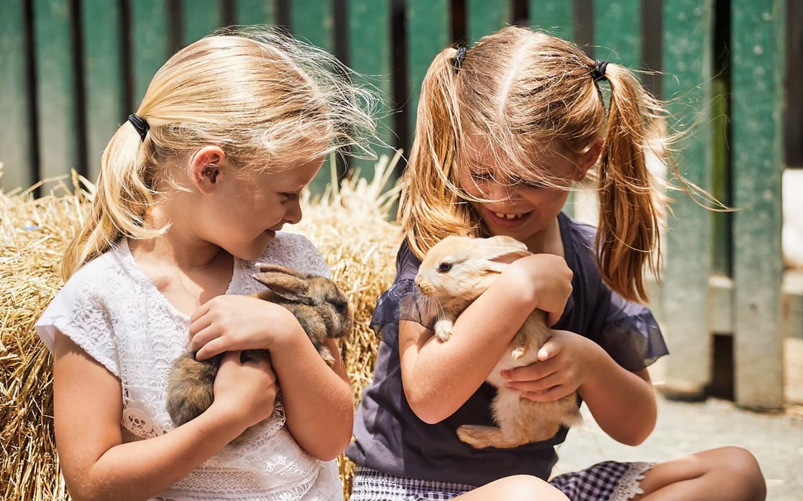 Oakvale Wildlife Park tickets in Sydney - Highlights | TickYourList