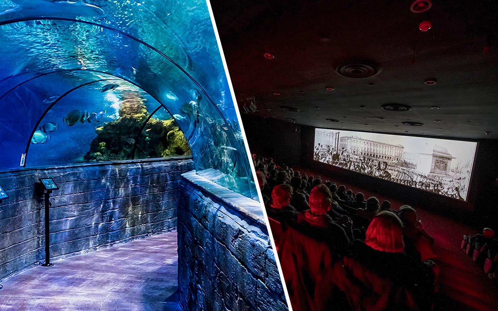 Combo: Malta National Aquarium + The Malta Experience Tickets