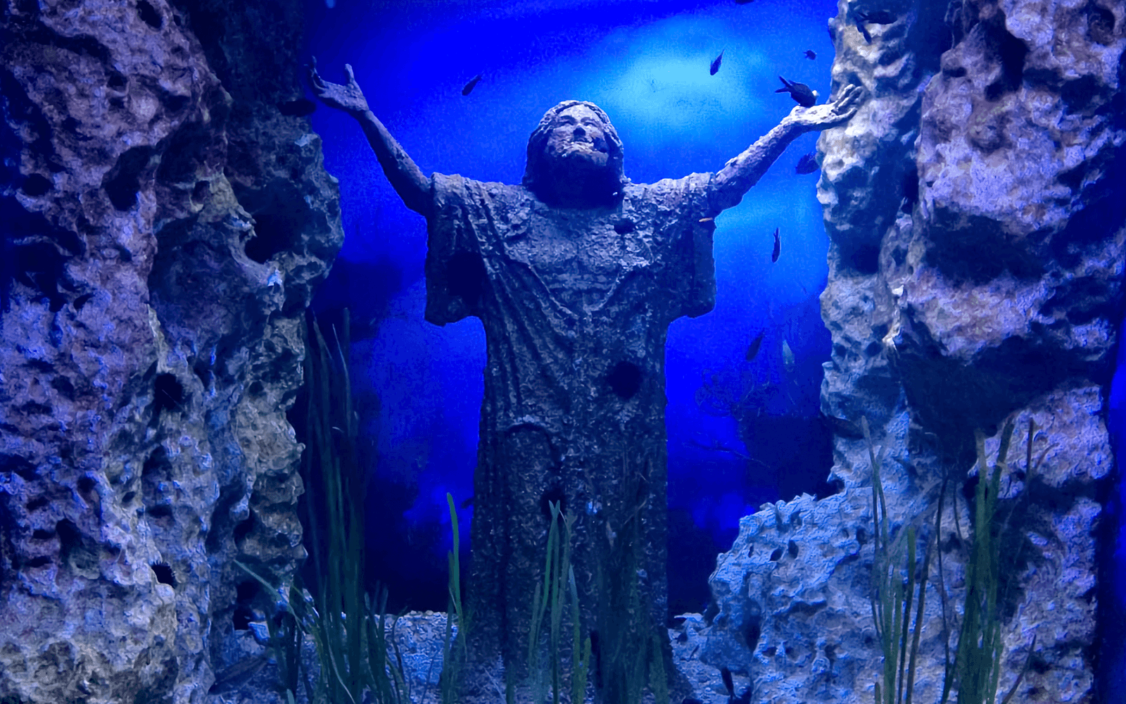 Combo: Malta National Aquarium + The Malta Experience Tickets in Valletta - Attractions | TickYourList