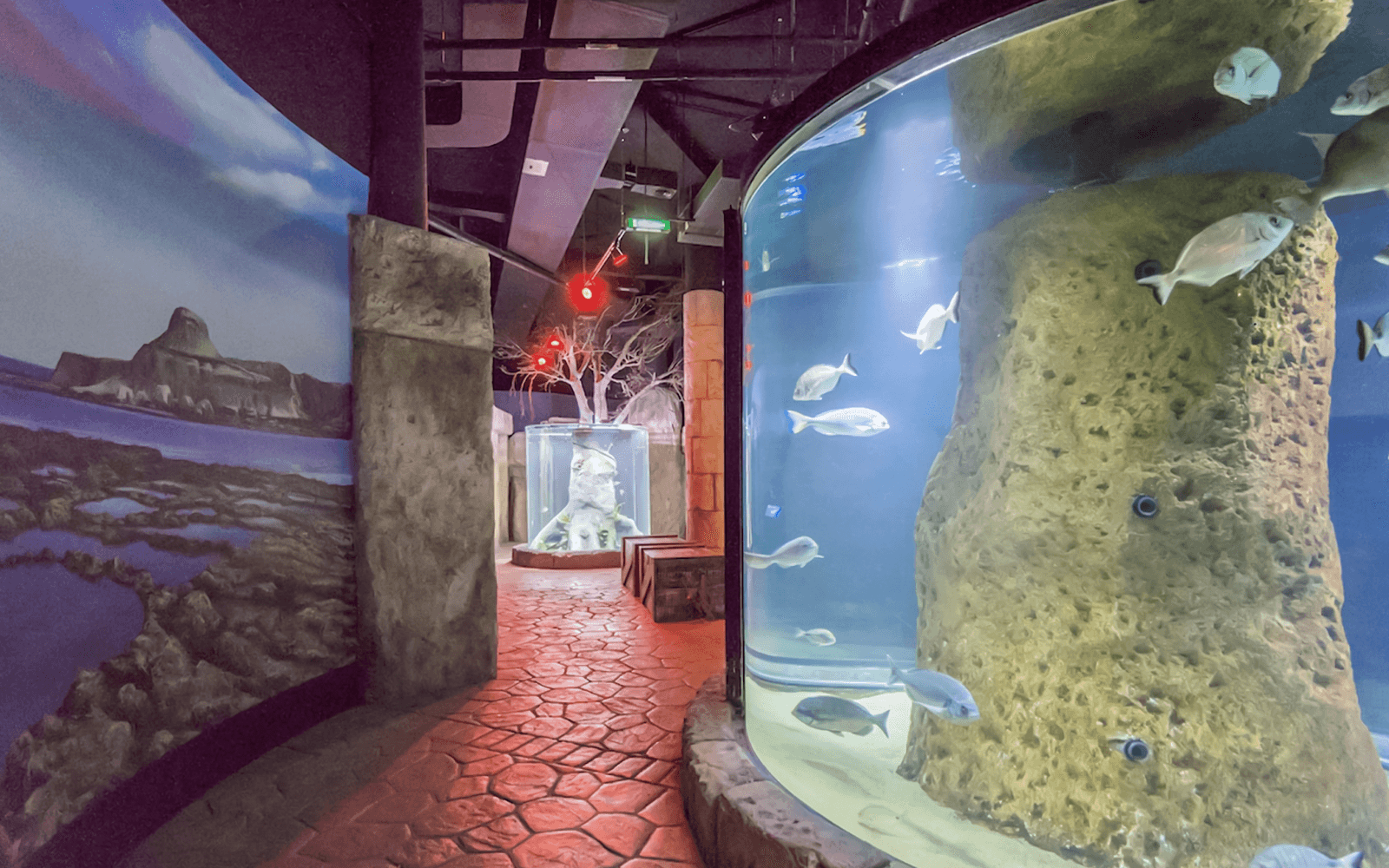 Combo: Malta National Aquarium + The Malta Experience Tickets in Valletta - Highlights | TickYourList