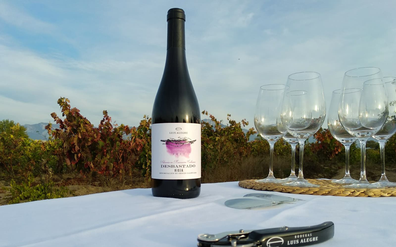 Guided Tour of 2 Rioja Wineries from San Sebastian with Wine Tastings tickets in San Sebastian - Activities | TickYourList
