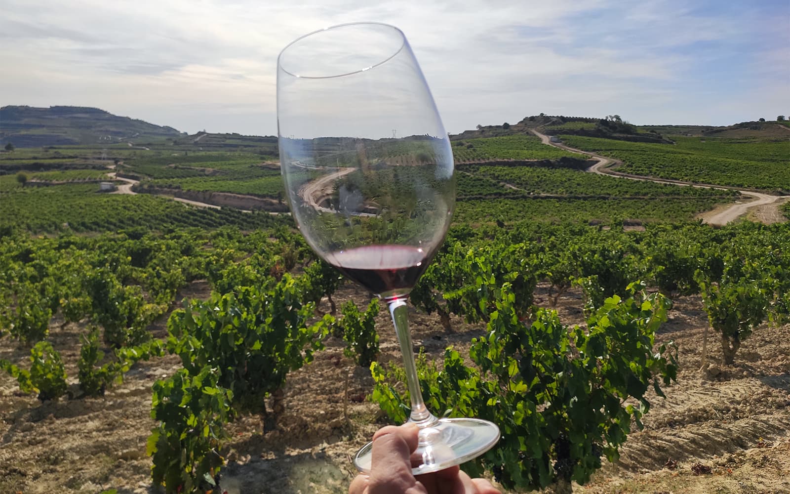 Guided Tour of 2 Rioja Wineries from San Sebastian with Wine Tastings tickets in San Sebastian - Highlights | TickYourList