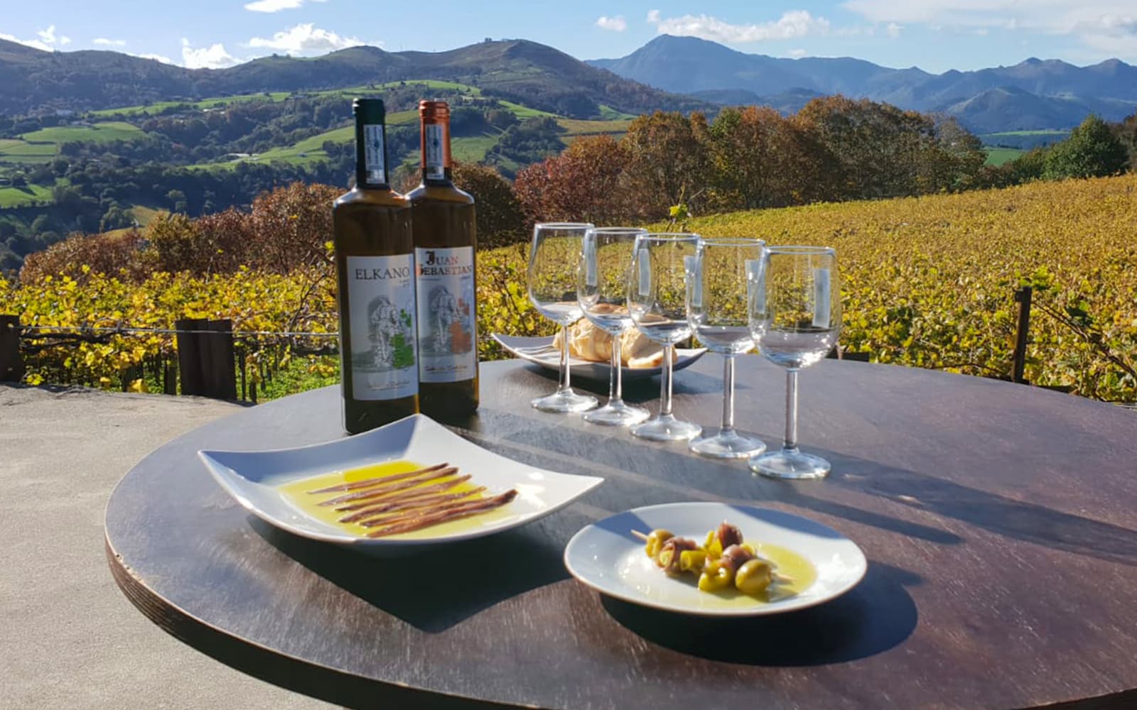 Guided Tour of Getaria from San Sebastian with Txakoli Wine Tasting tickets in San Sebastian - Activities | TickYourList