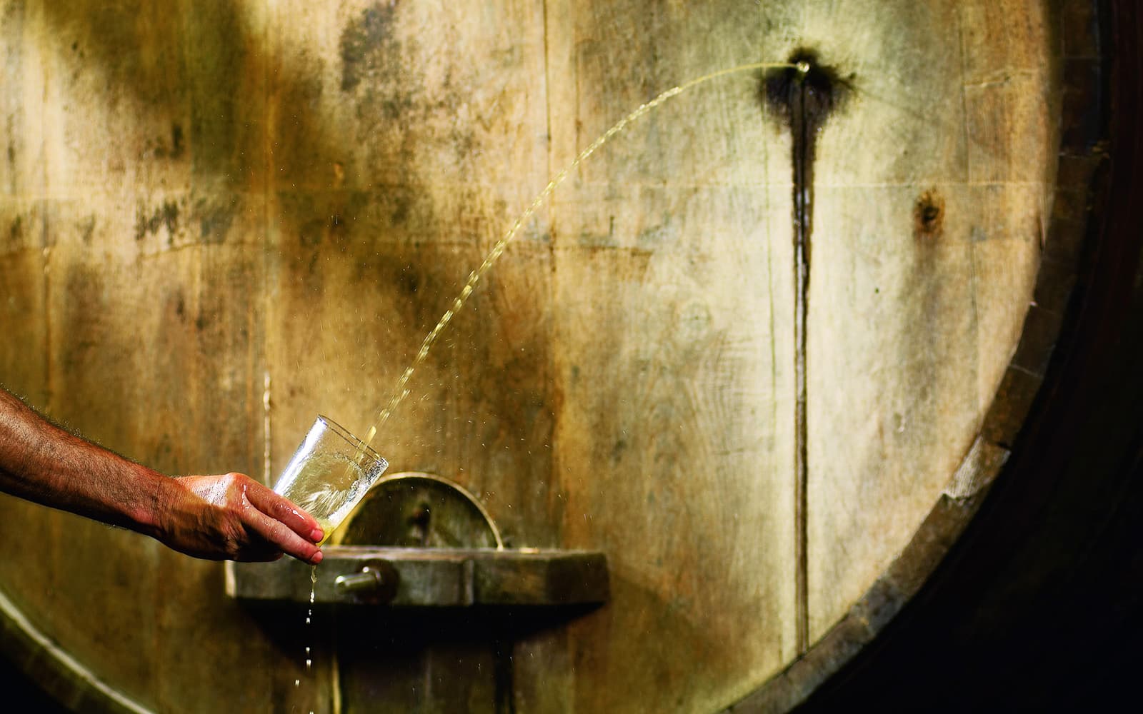 Guided Cider House Experience From San Sebastian tickets in San Sebastian - Highlights | TickYourList