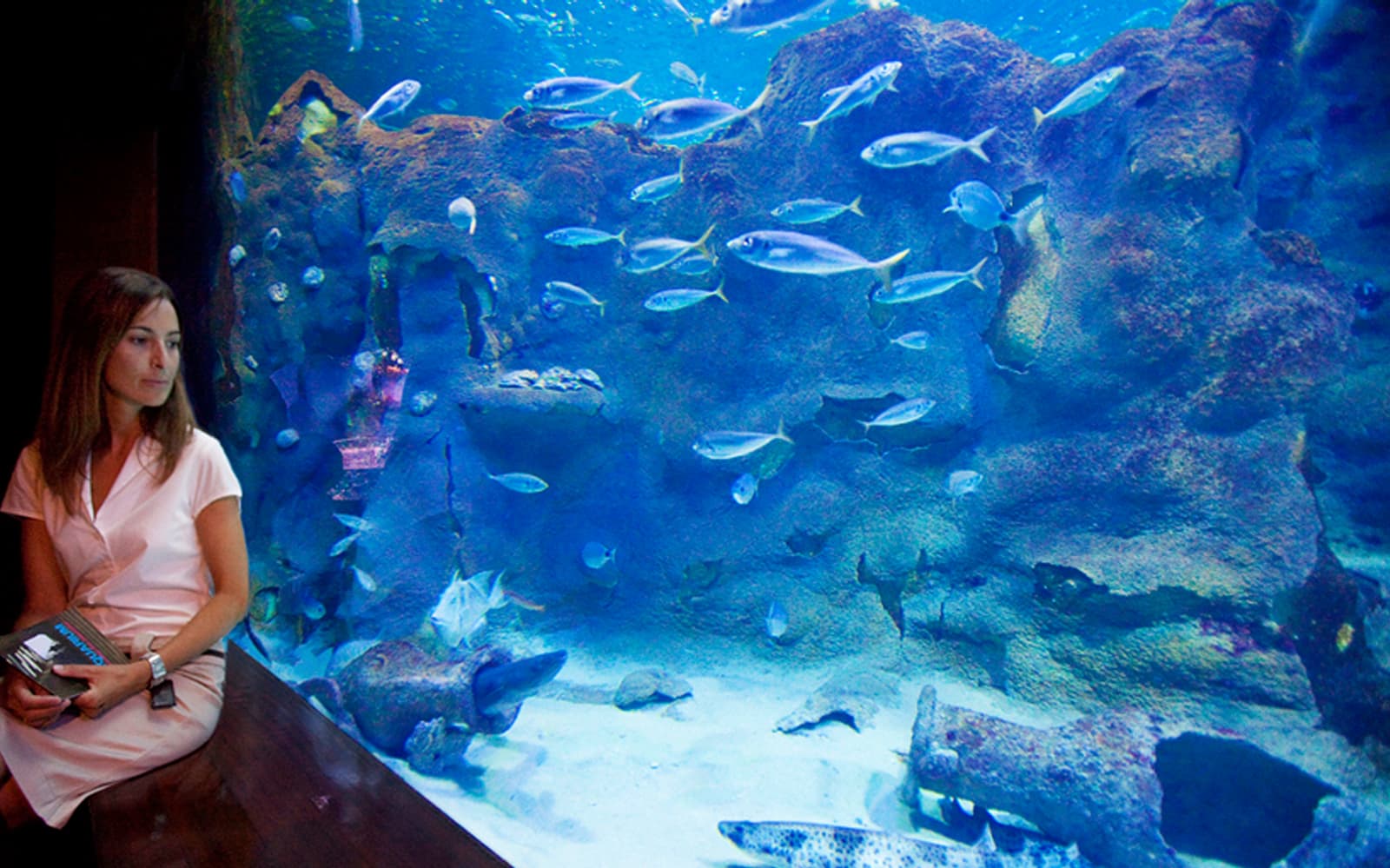 San Sebastián Aquarium: Entrance Tickets