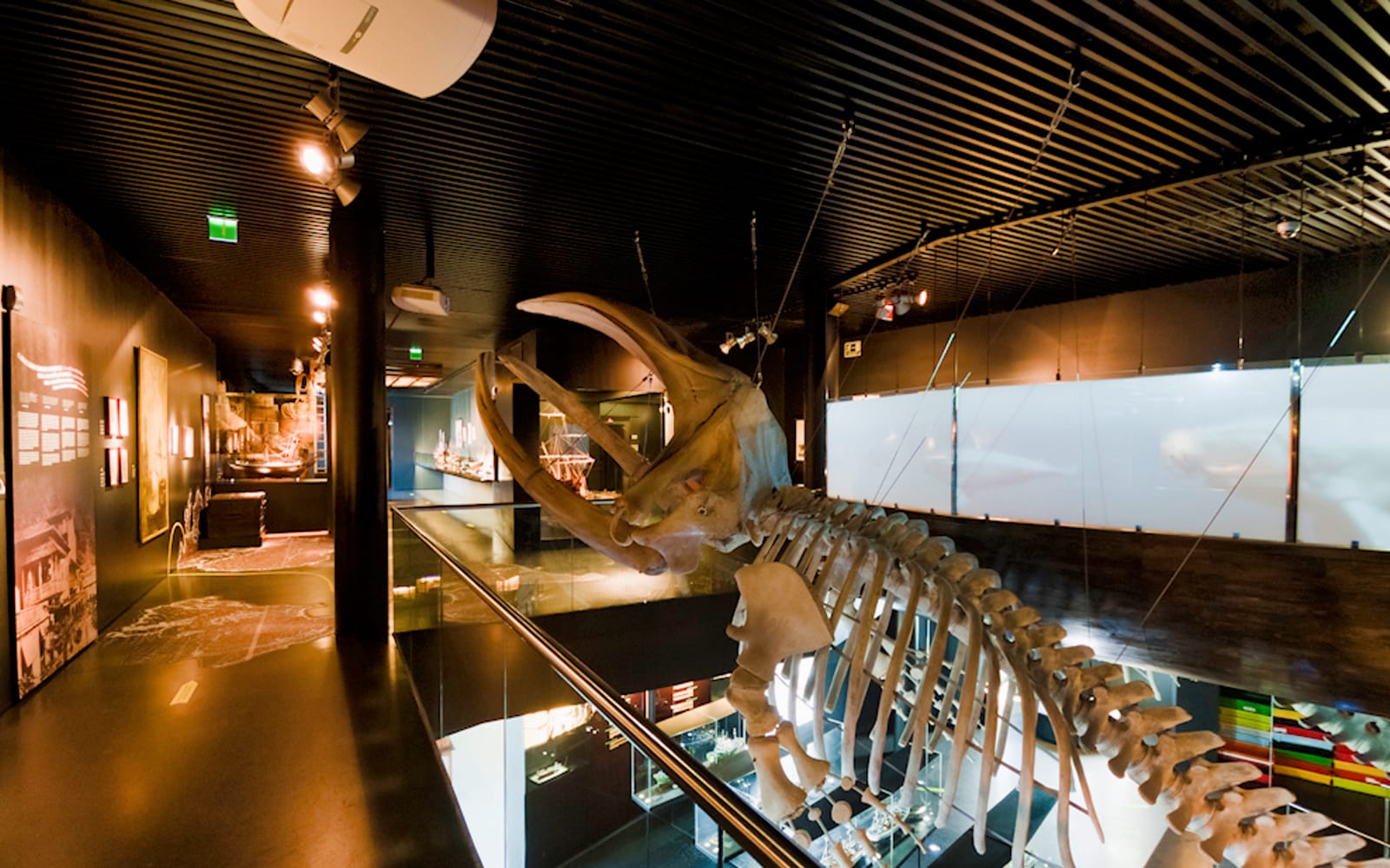 San Sebastián Aquarium: Entrance Tickets in San Sebastian - Activities | TickYourList