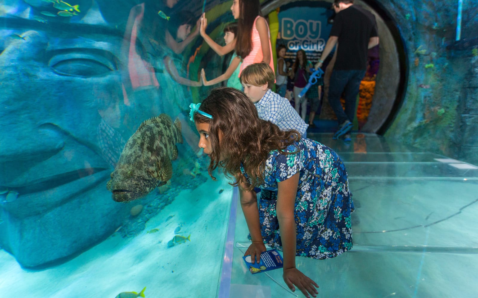 San Sebastián Aquarium: Entrance Tickets in San Sebastian - Highlights | TickYourList