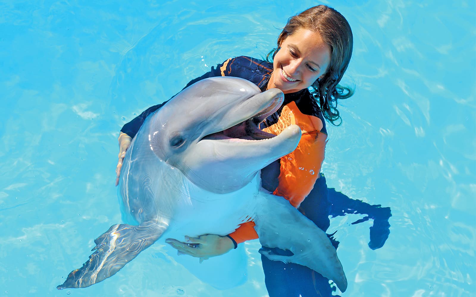 Zoomarine Dolphin Emotions Experience with Entry Tickets