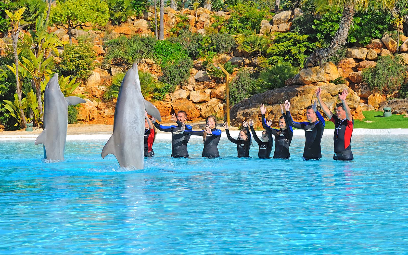 Zoomarine Dolphin Emotions Experience with Entry Tickets in Algarve - Attractions | TickYourList