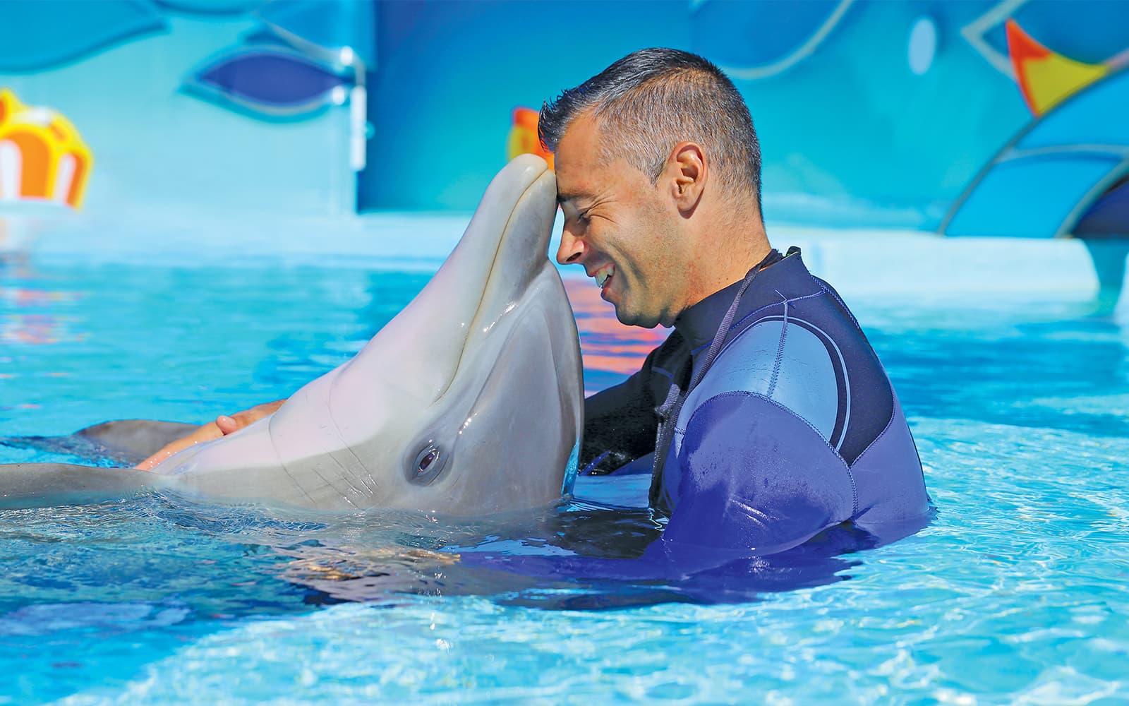 Zoomarine Dolphin Emotions Experience with Entry Tickets in Algarve - Highlights | TickYourList