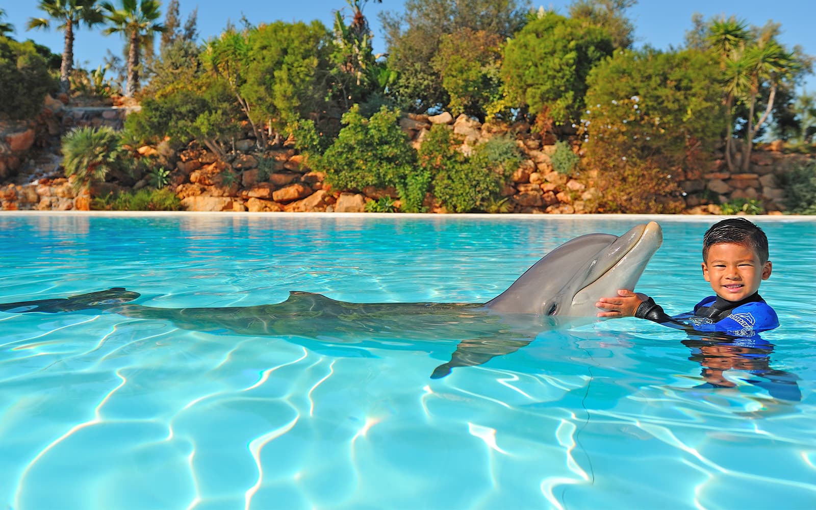 Zoomarine Dolphin Emotions Experience with Entry Tickets in Algarve - Full Experience | TickYourList