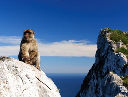 Gibraltar Break Full Day Tour - From Algarve