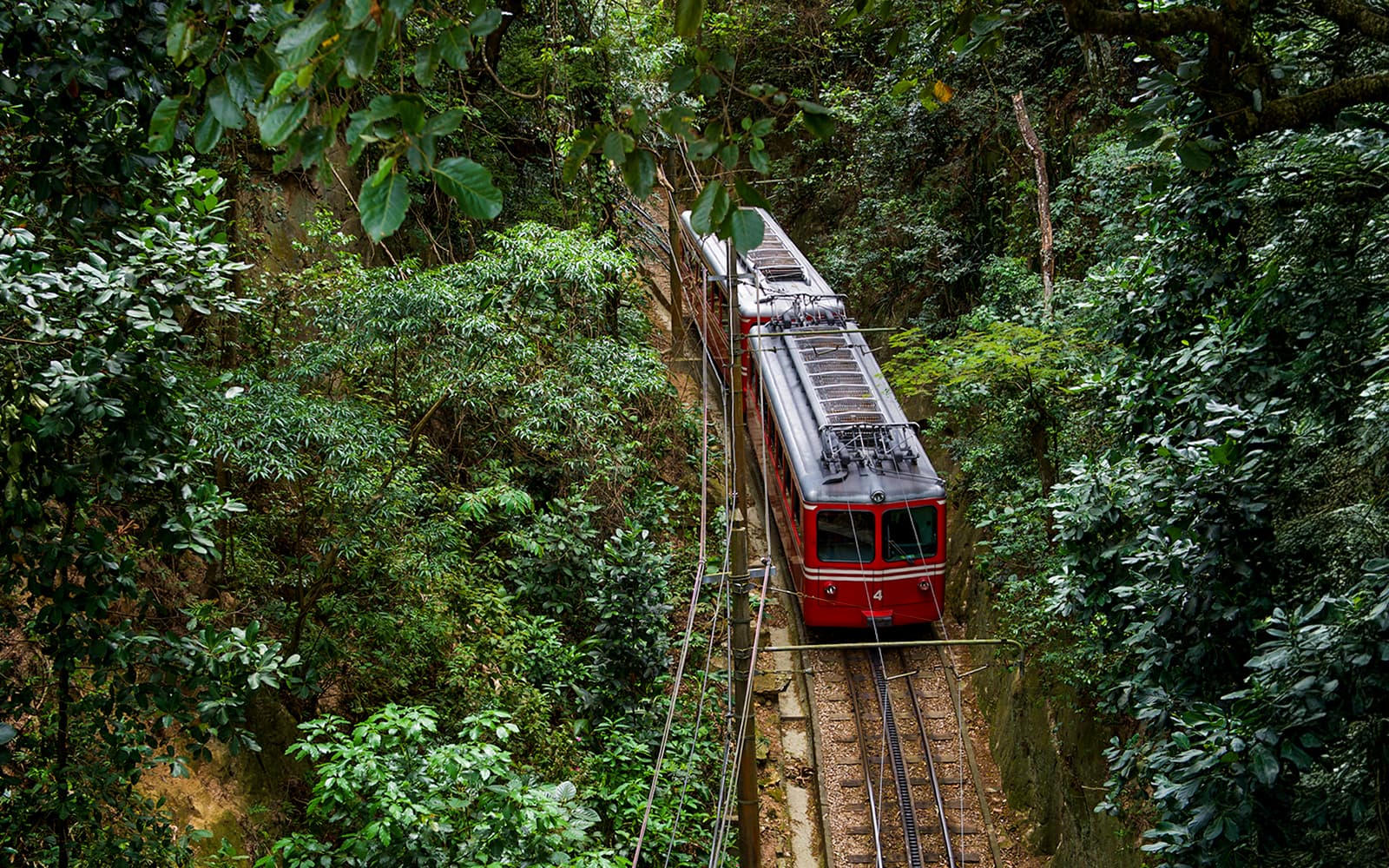 Christ the Redeemer Tickets with Corcovado Train Transfer in Rio de Janeiro - Attractions | TickYourList