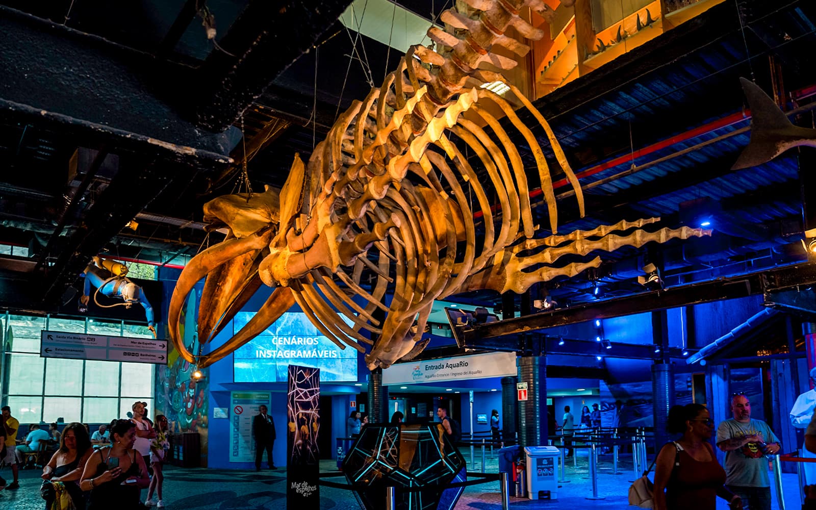 AquaRio Rio de Janeiro Aquarium Tickets in Rio de Janeiro - Highlights | TickYourList