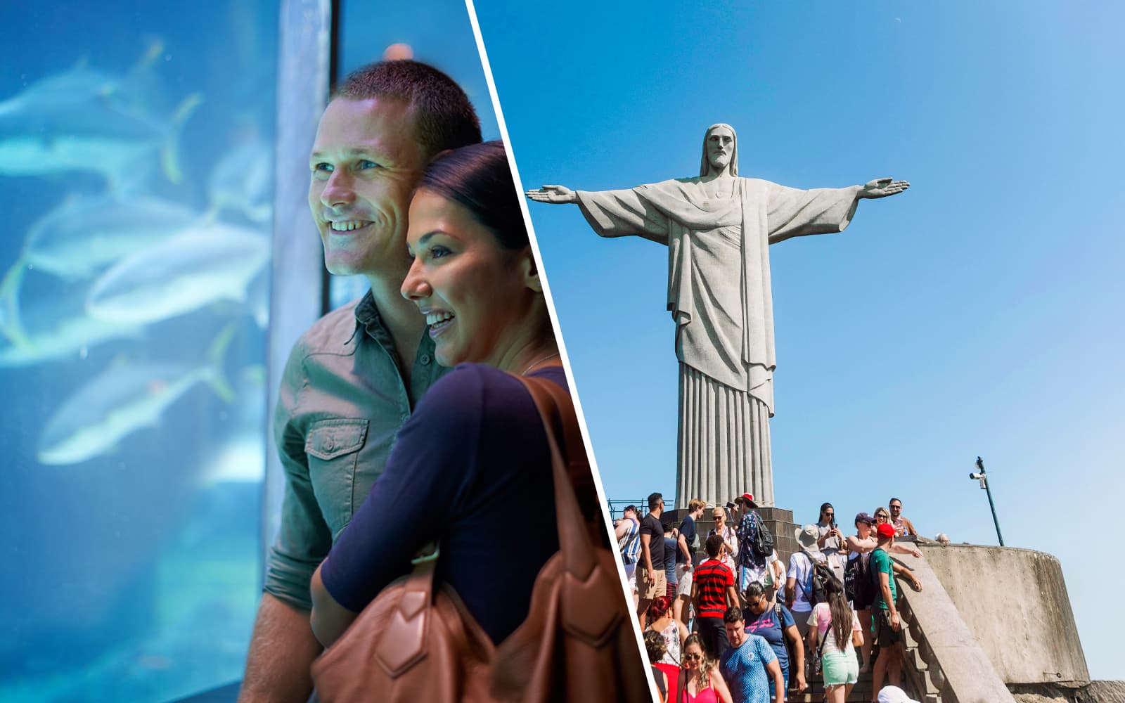 Combo (Save 5%): AquaRio + Christ the Redeemer Tickets with Corcovado Train Transfer