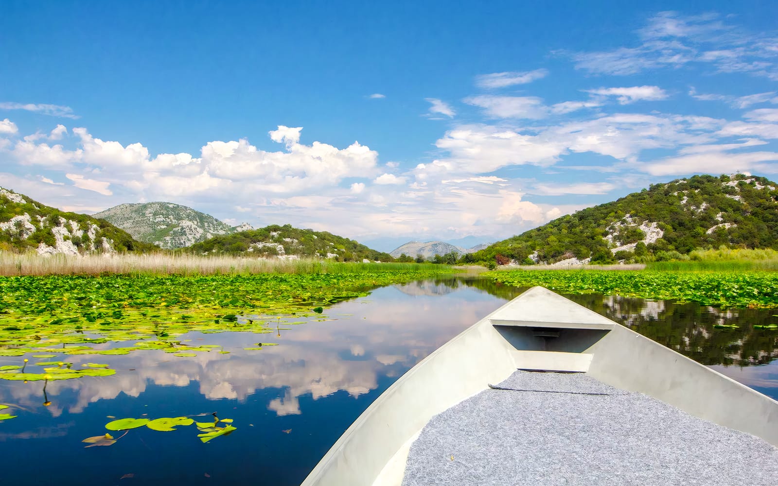 From Kotor/Budva/Tivat/Herceg Novi: Lake Skadar & Biograd Day Trip with Boat Ride tickets in Kotor - Attractions | TickYourList