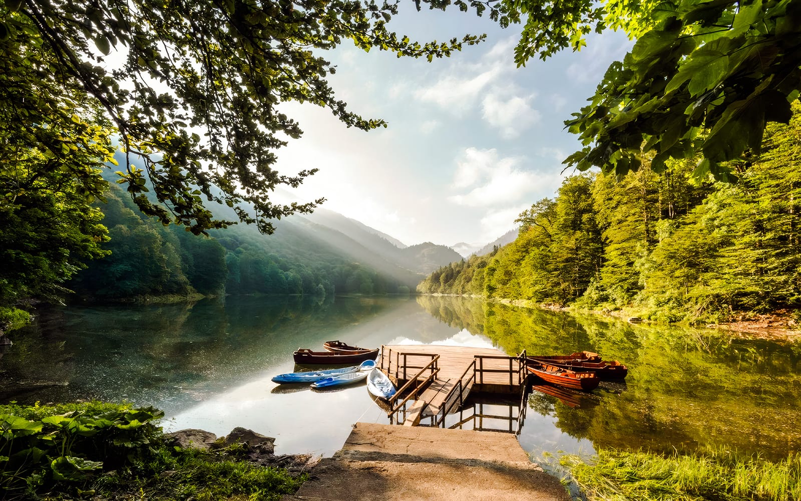From Kotor/Budva/Tivat/Herceg Novi: Lake Skadar & Biograd Day Trip with Boat Ride tickets in Kotor - Activities | TickYourList