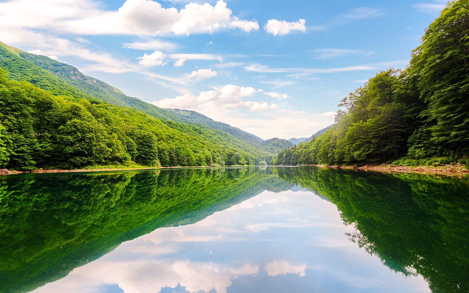 From Kotor/Budva/Tivat/Herceg Novi: Lake Skadar & Biograd Day Trip with Boat Ride tickets in Kotor - Highlights | TickYourList