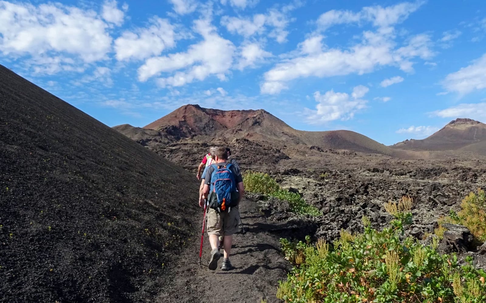 3-Hour Guided Trek to the Timanfaya Eruptions at Volcano Natural Park experience tickets in Las Palmas de Gran Canaria | TickYourList