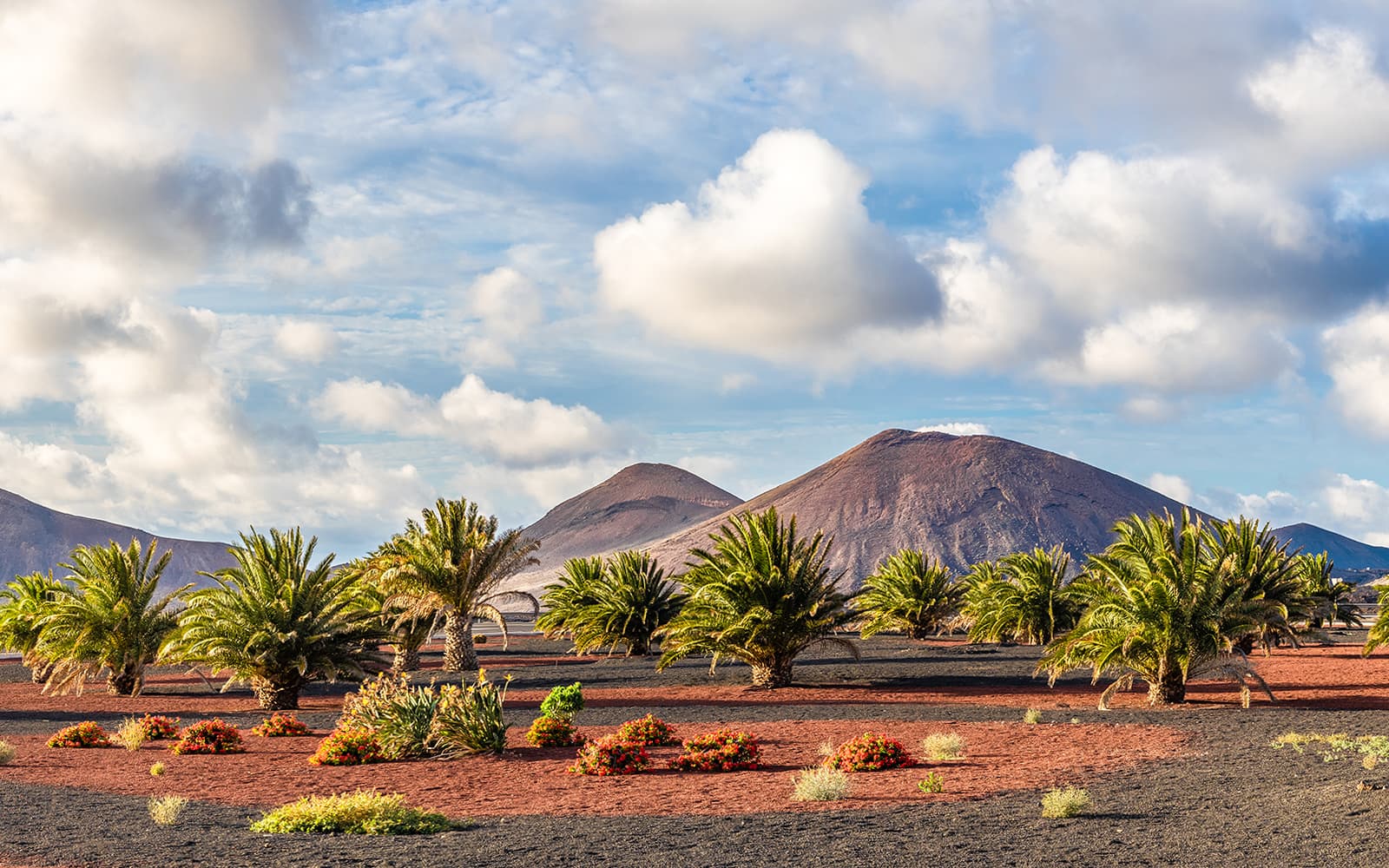 3-Hour Guided Trek to the Timanfaya Eruptions at Volcano Natural Park tickets in Las Palmas de Gran Canaria - Activities | TickYourList