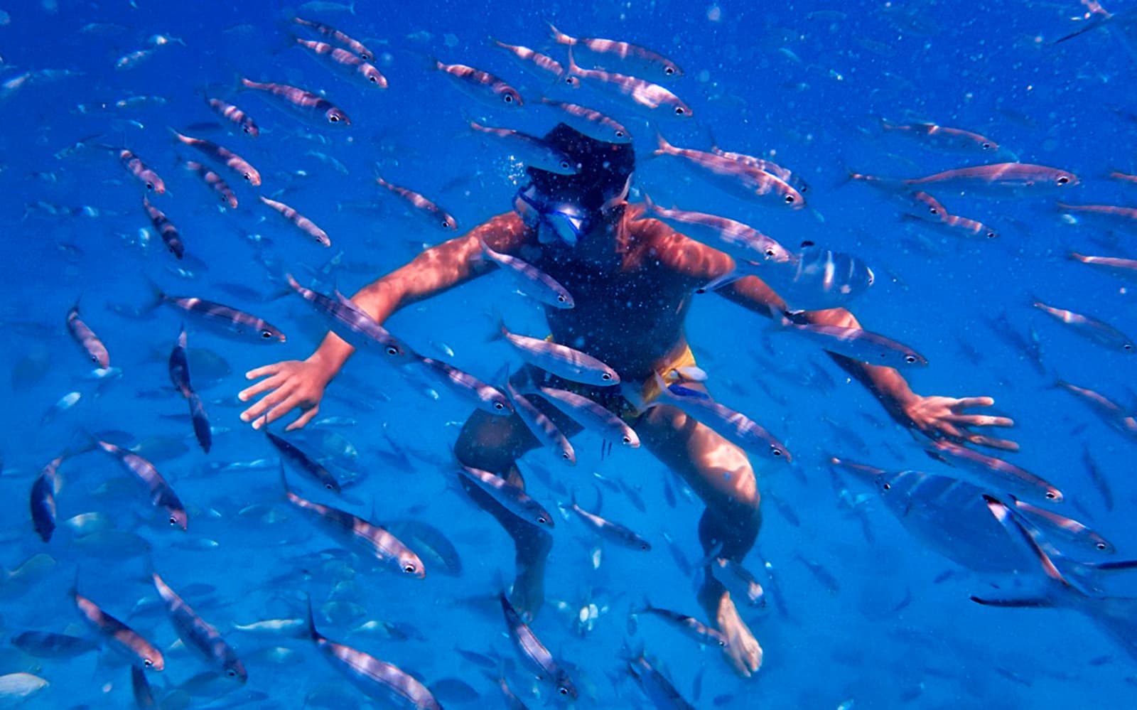 Lobos Island Visit & Snorkel Activity from Corralejo tickets in Fuerteventura - Book Now | TickYourList