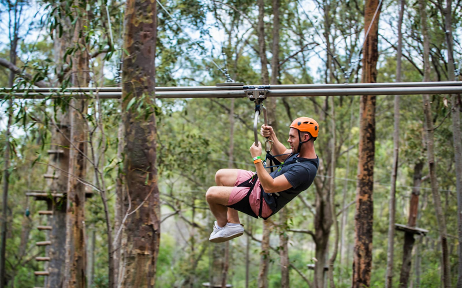 Treetops Adventure Park Admission Tickets in Sydney - Attractions | TickYourList