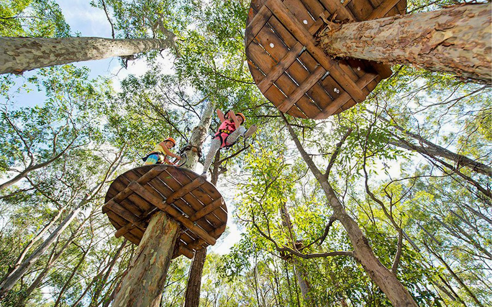 Treetops Adventure Park Admission Tickets in Sydney - Activities | TickYourList