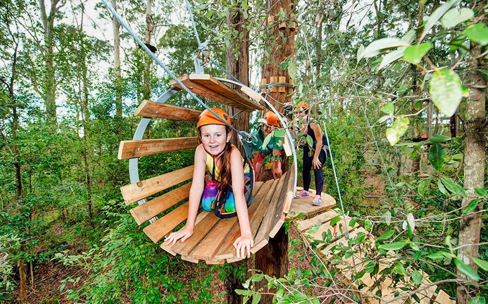 Treetops Adventure Park Admission Tickets in Sydney - Highlights | TickYourList