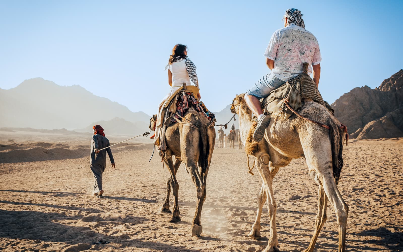 Fuerteventura: Oasis Wildlife Camel Experience tickets in Fuerteventura - Activities | TickYourList