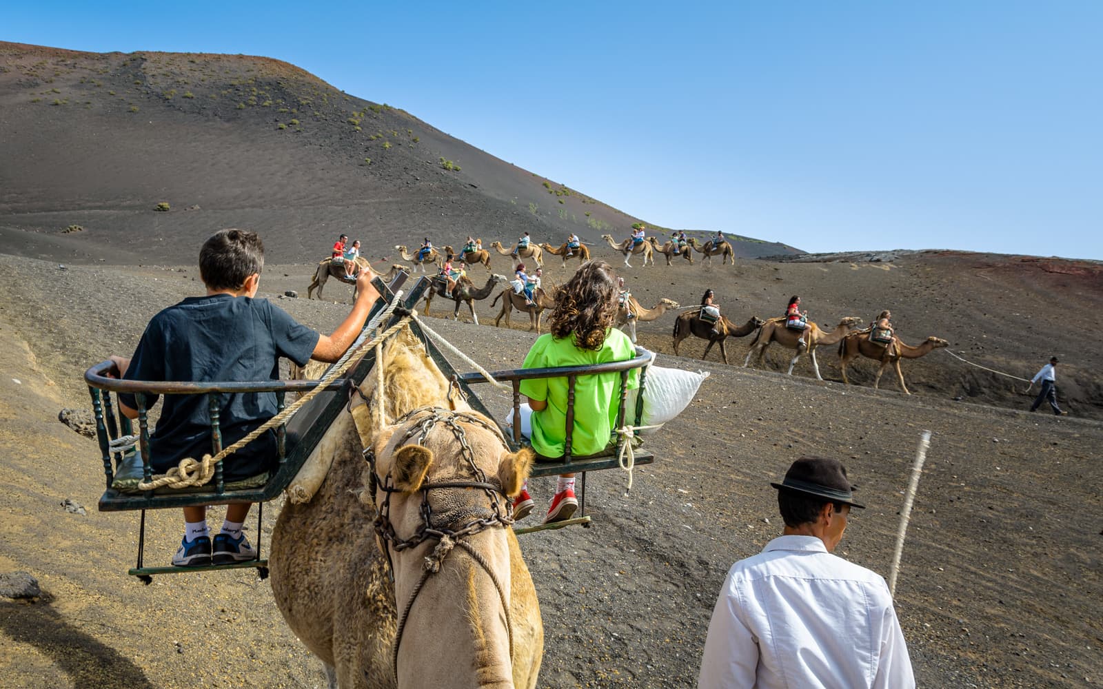 Fuerteventura: Oasis Wildlife Camel Experience tickets in Fuerteventura - Features | TickYourList
