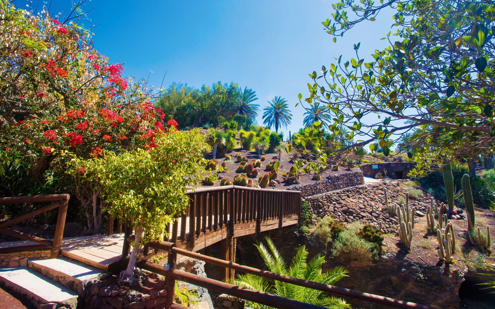 Skip-the-Line Tickets to Oasis Wildlife Fuerteventura in Fuerteventura - Attractions | TickYourList