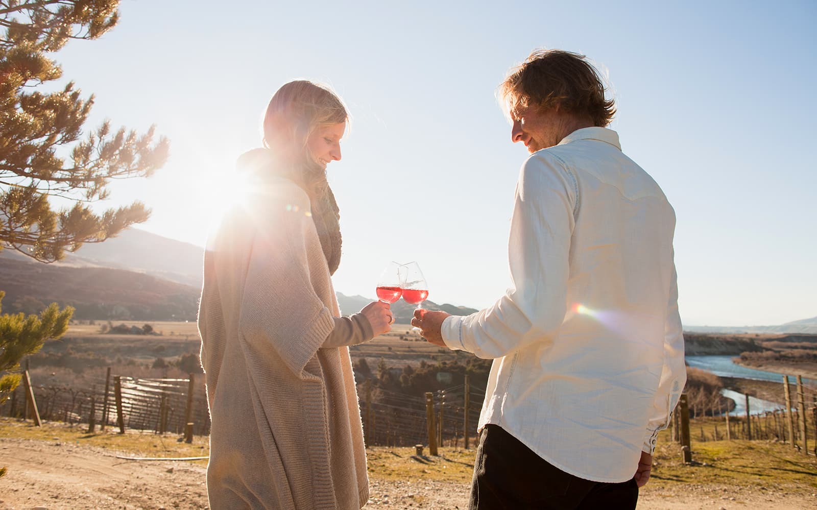 Wanaka Wine Tour with Gourmet Platter & Tastings tickets in Wanaka - Highlights | TickYourList