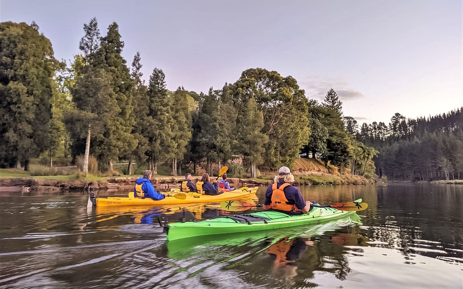 Evening Glowworm Kayak Guided Tour from Tauranga tickets in Tauranga - Activities | TickYourList
