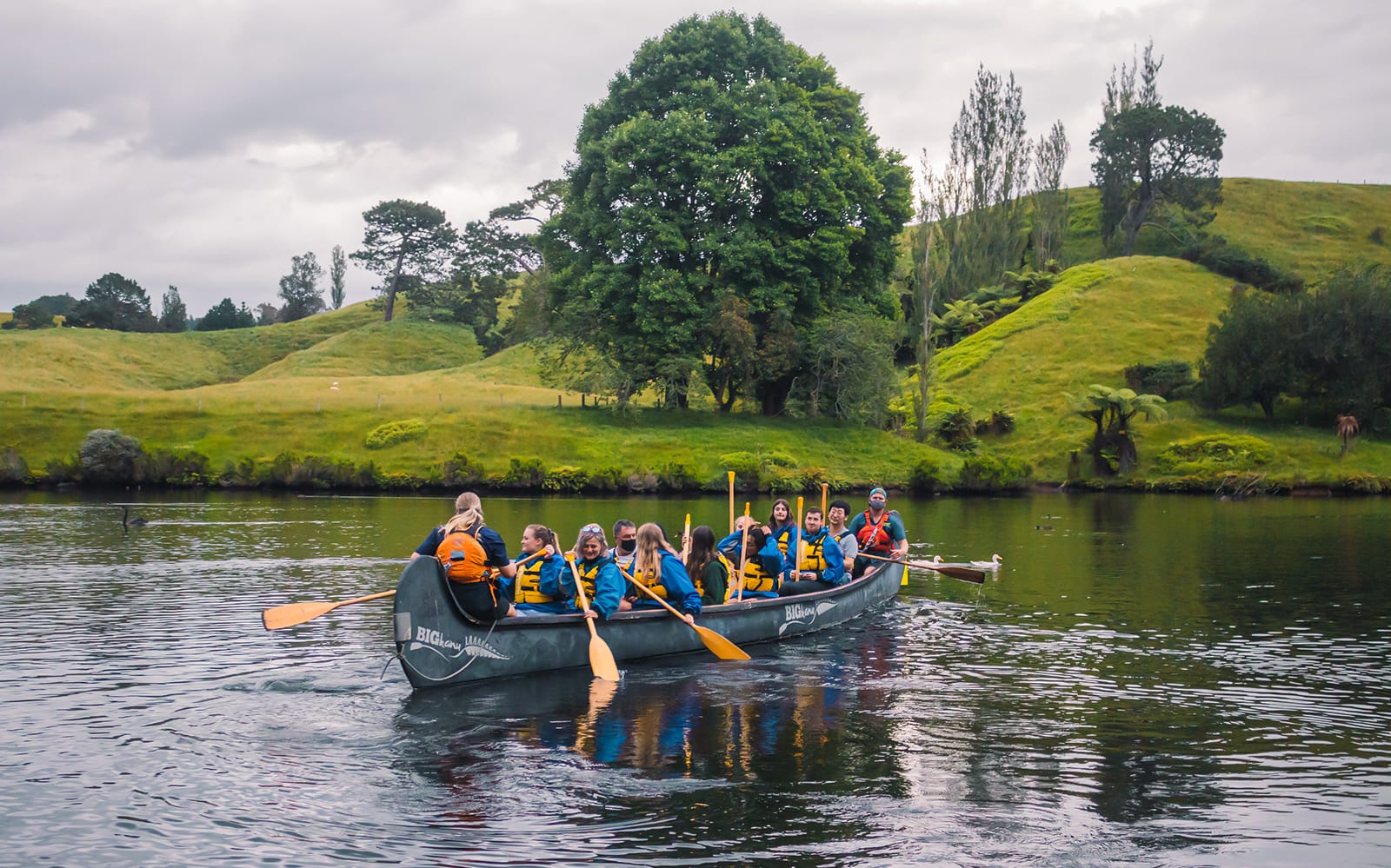Guided Tour of Big Kanu Glowworm from Tauranga tickets in Tauranga - Activities | TickYourList
