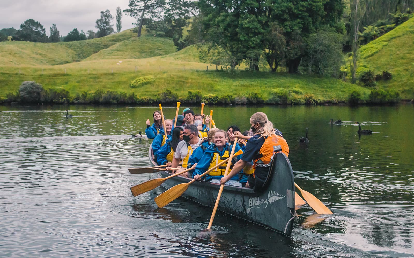 Guided Tour of Big Kanu Glowworm from Tauranga tickets in Tauranga - Highlights | TickYourList