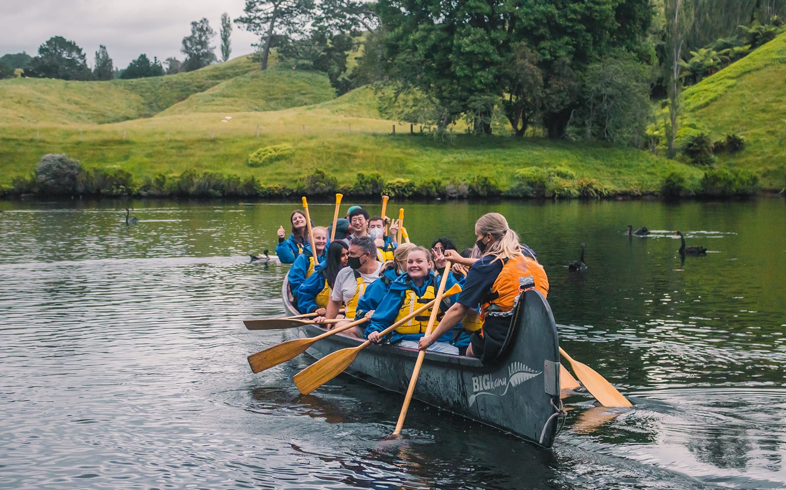 Guided Tour of Big Kanu Glowworm from Tauranga tickets in Tauranga - Highlights | TickYourList