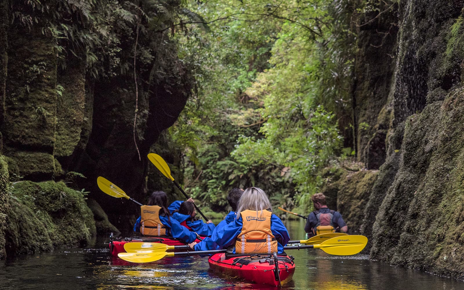 Kayak Tour of Scenic Lake Mclaren From Tauranga