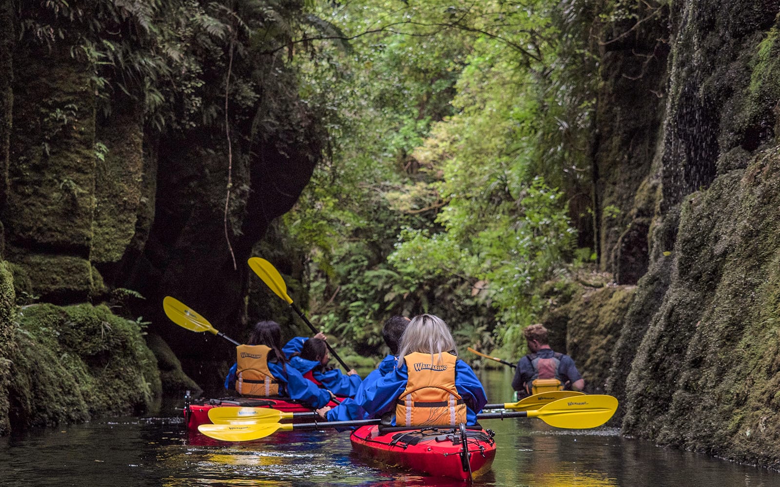 Kayak Tour of Scenic Lake Mclaren From Tauranga experience tickets in Tauranga | TickYourList