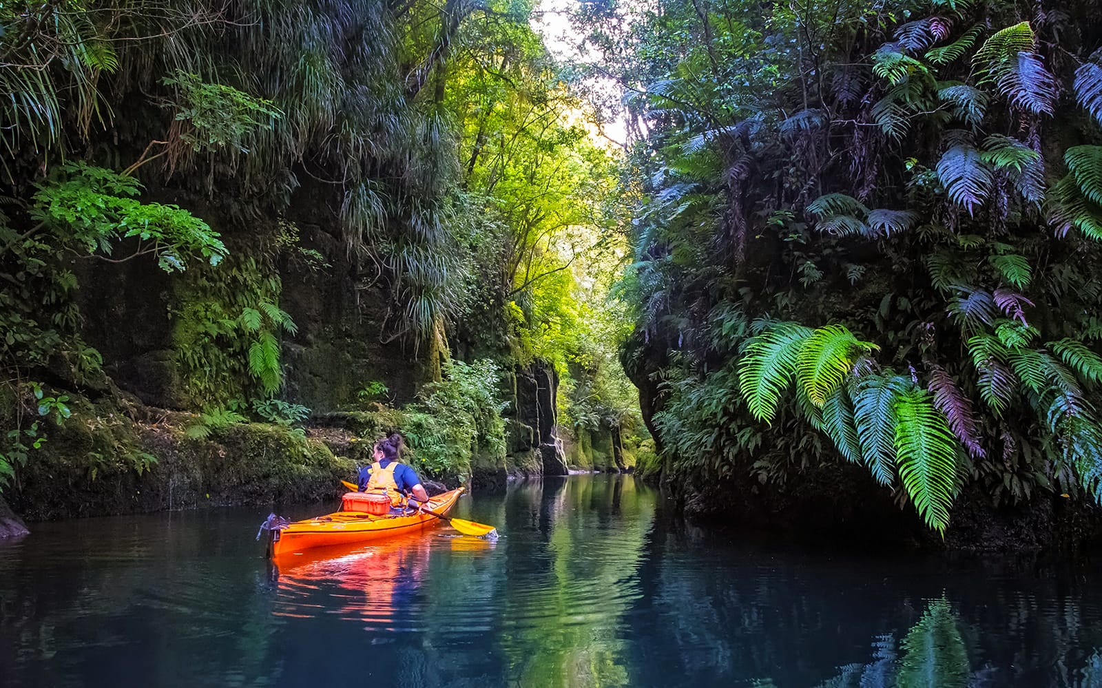 Kayak Tour of Scenic Lake Mclaren From Tauranga tickets in Tauranga - Attractions | TickYourList