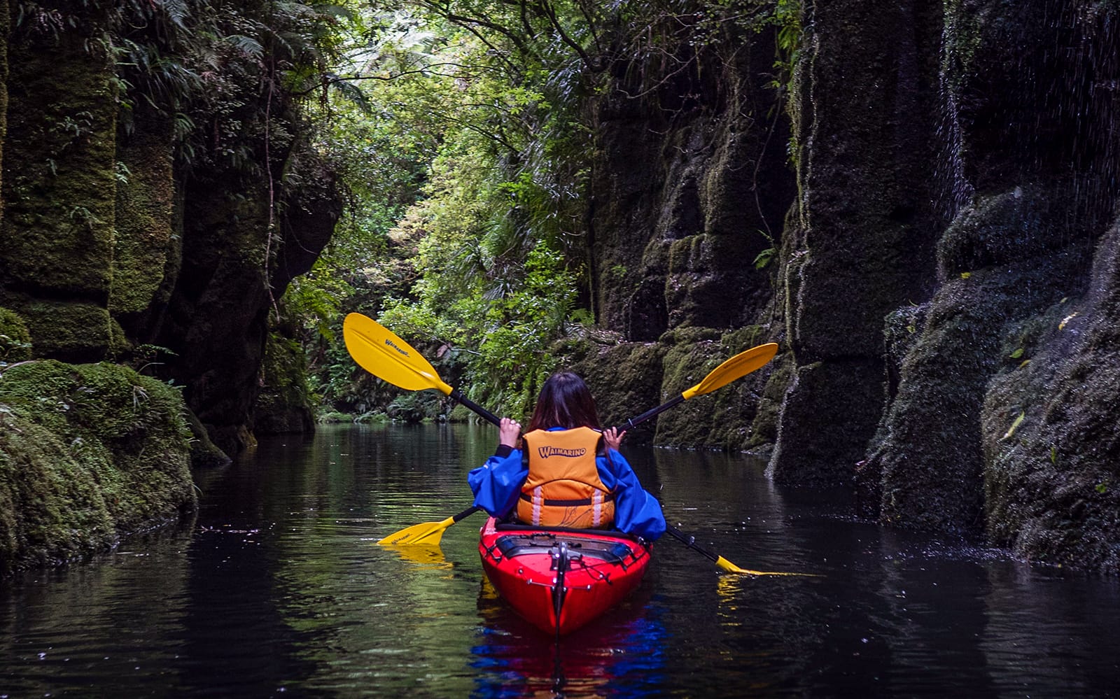 Kayak Tour of Scenic Lake Mclaren From Tauranga tickets in Tauranga - Activities | TickYourList