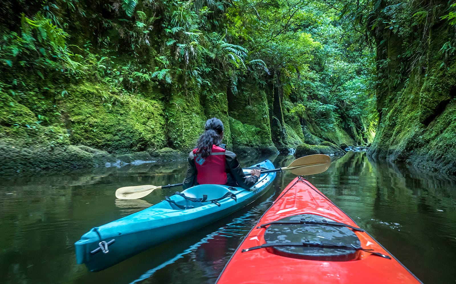 Kayak Tour of Scenic Lake Mclaren From Tauranga tickets in Tauranga - Highlights | TickYourList