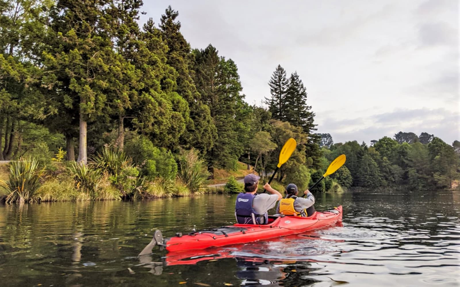 Kayak Tour of Scenic Lake Mclaren From Tauranga tickets in Tauranga - Features | TickYourList