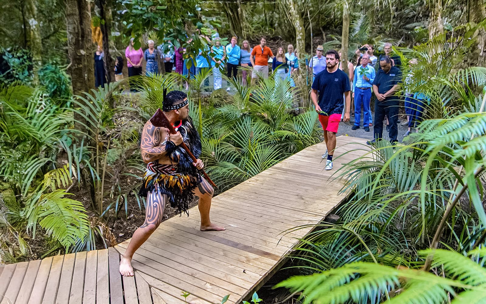Waitangi Treaty Grounds 2-Day Admission Pass tickets in Paihia - Highlights | TickYourList