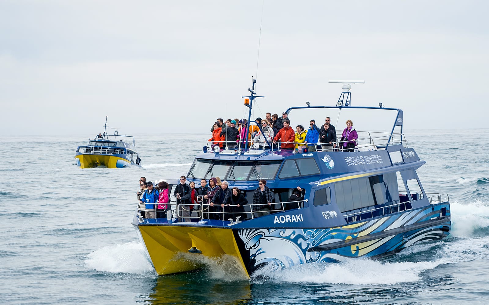 From Christchurch: Kaikoura Whale Watch Day Trip with Round-Trip Transfers tickets in Kaikoura - Highlights | TickYourList