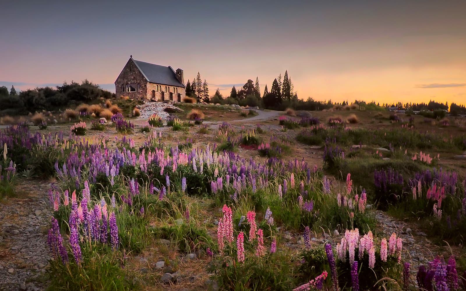 Small Group Guided Tour of Mt Cook & Lake Tekapo from Christchurch
