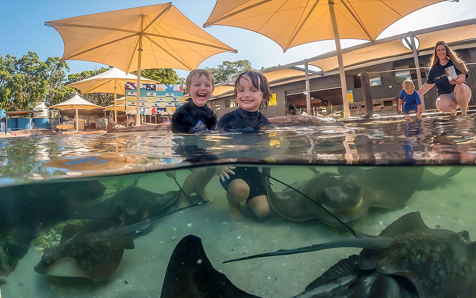 Irukandji Entry Pass with Little Ray Cuddle Experience tickets in Port Stephens - Activities | TickYourList