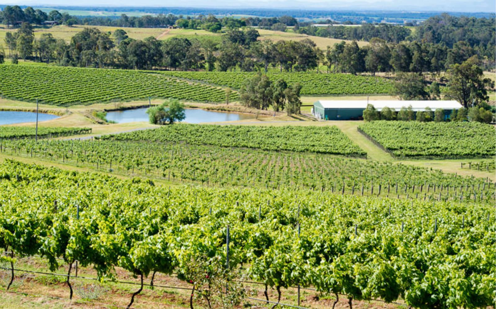 Hunter Valley Wineries & Distillery Tour tickets in Hunter Valley - Explore More | TickYourList