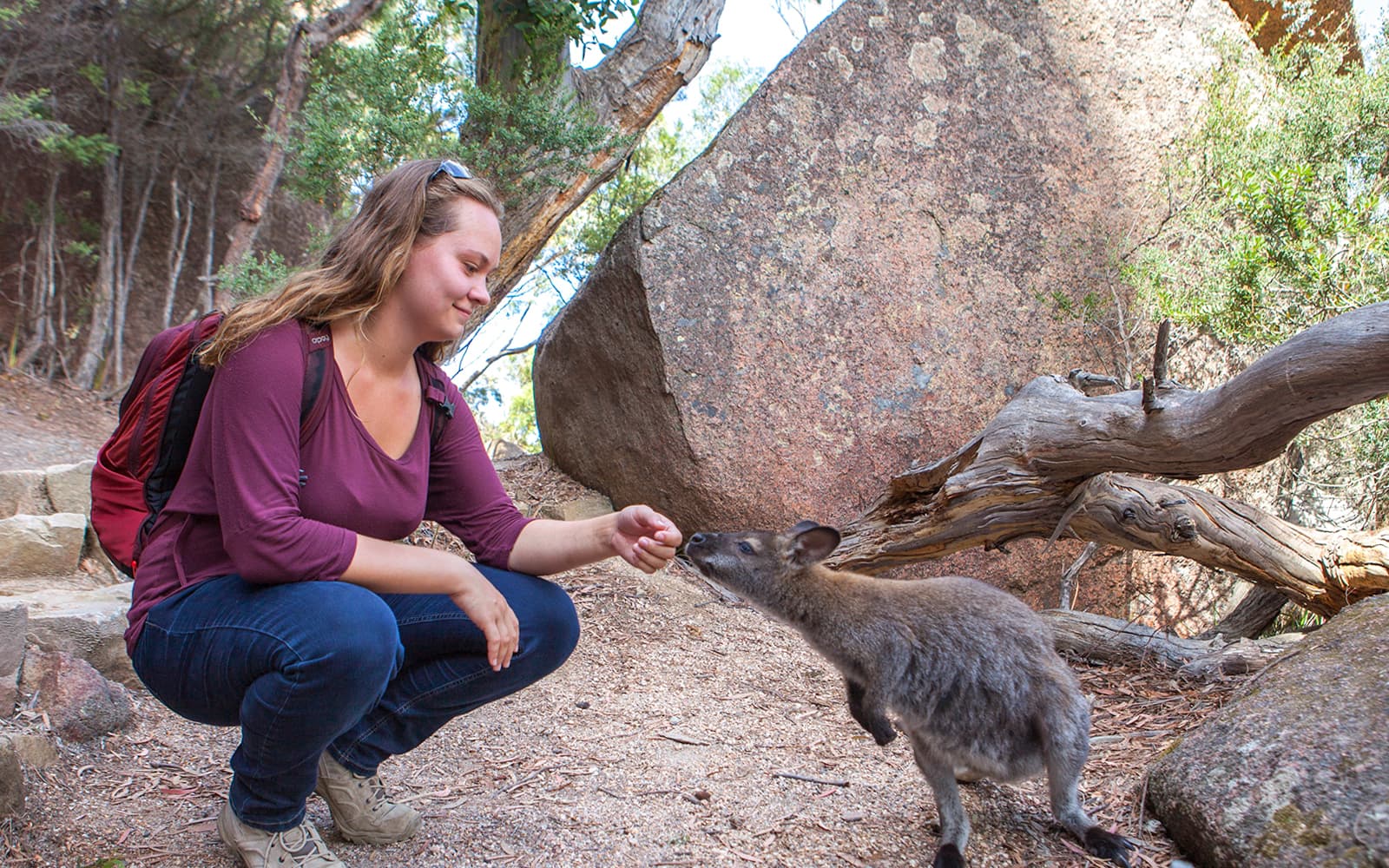 From Launceston: Day Tour to Hobart via Wineglass Bay tickets in Launceston - Highlights | TickYourList