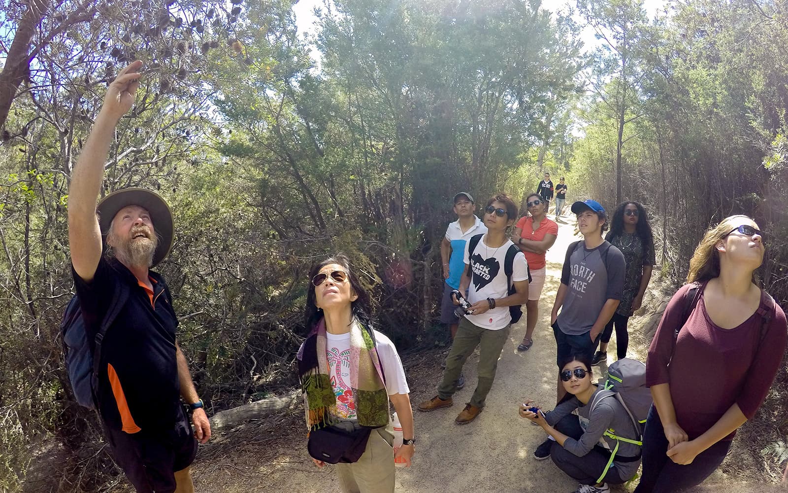 From Launceston: Guided Walking Tour of Wineglass Bay tickets in Launceston - Attractions | TickYourList