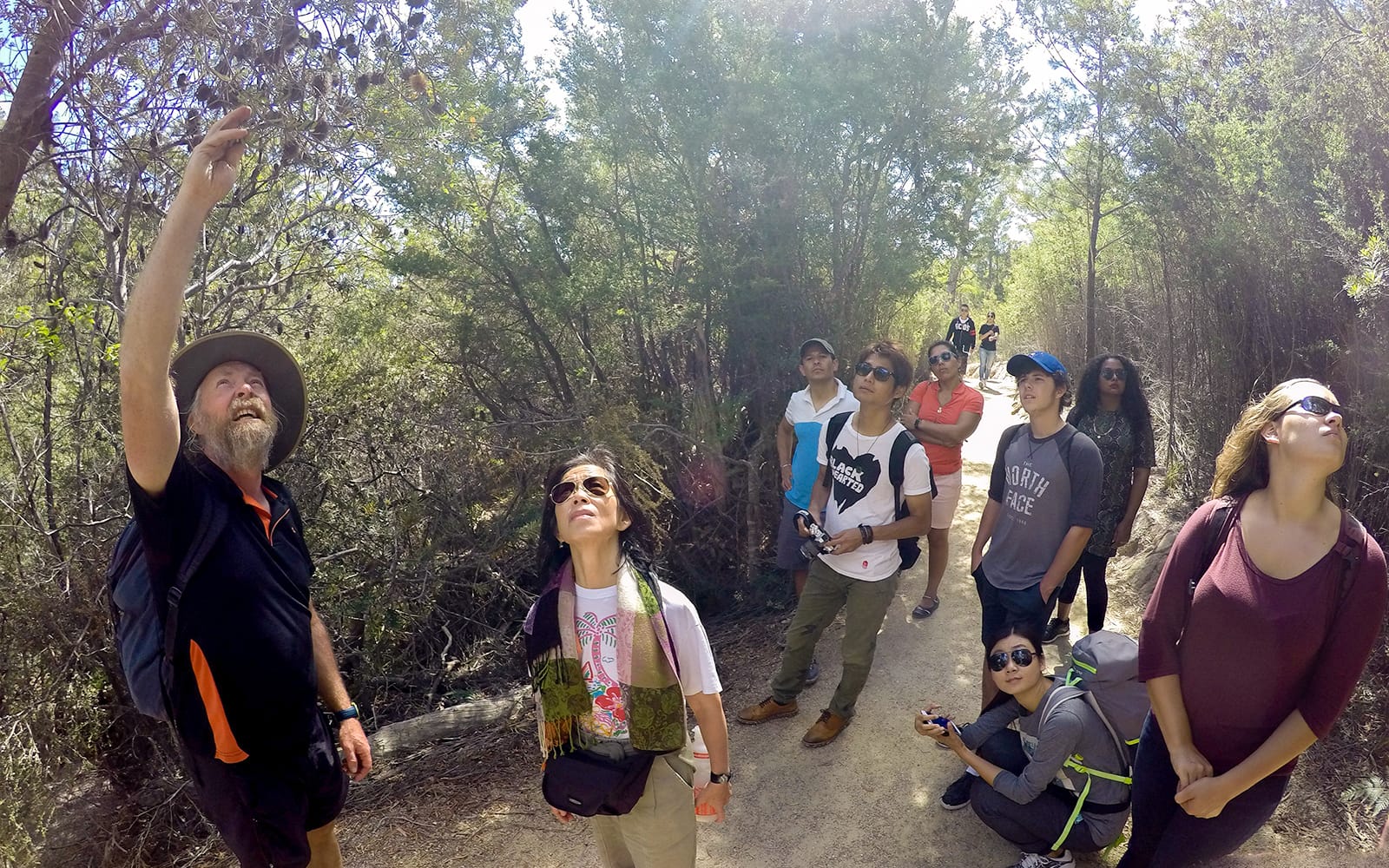 From Launceston: Guided Walking Tour of Wineglass Bay tickets in Launceston - Attractions | TickYourList